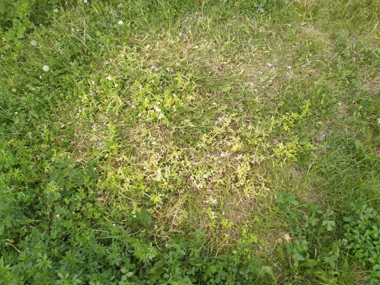 Стадион Авангард - 11.jpg